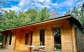 Driftwood Dreams Garden Cabin